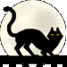 Cat In The Moon
